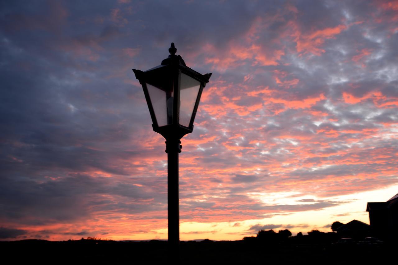 Bunratty Meadows Bed & Breakfast エクステリア 写真