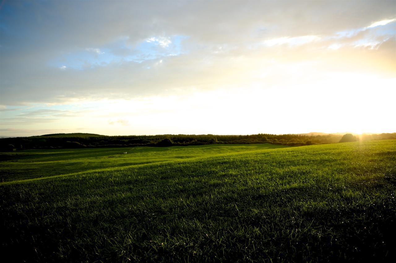 Bunratty Meadows Bed & Breakfast エクステリア 写真